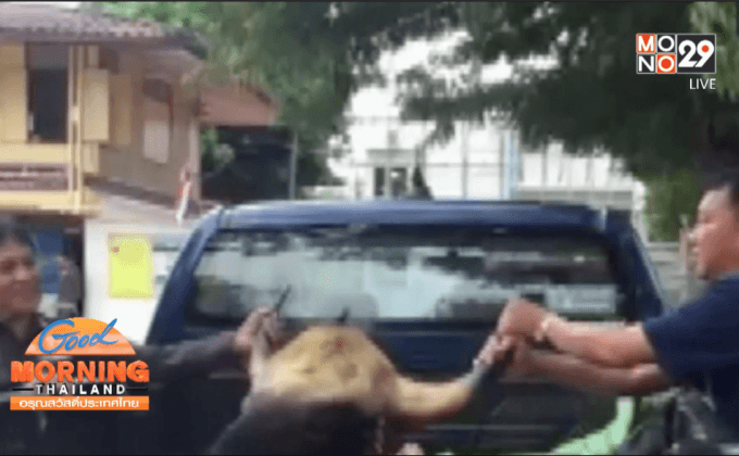 ให้ออกจากราชการ คดีตำรวจลอบขนซากกระทิง