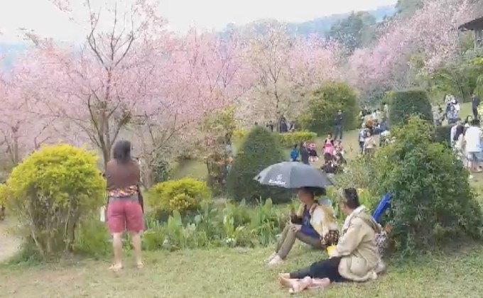 นักท่องเที่ยวชมนางพญาเสือโคร่ง