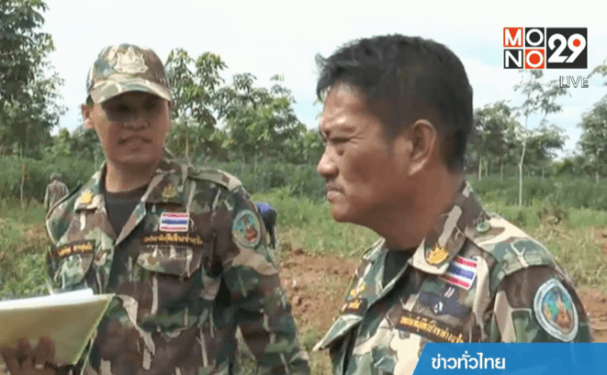 ช้างป่าเขาอ่างฤาไนออกหากินนอกเขตป่า