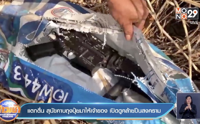 แตกตื่น สุนัขคาบถุงปุ๋ยมาให้เจ้าของ เปิดดูคล้ายปืนสงคราม