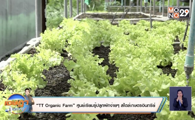 “ TT Organic Farm ” ศูนย์เรียนรู้ปลูกผักง่ายๆ สไตล์เกษตรอินทรีย์