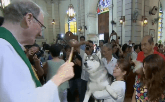 ชาวฟิลิปปินส์นำสัตว์เลี้ยงฉลองวันนักบุญฟรานซิส