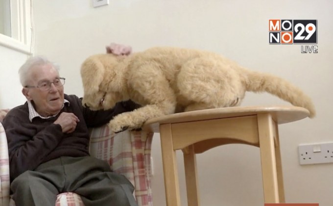 หุ่นยนต์สุนัขบำบัดคนแก่