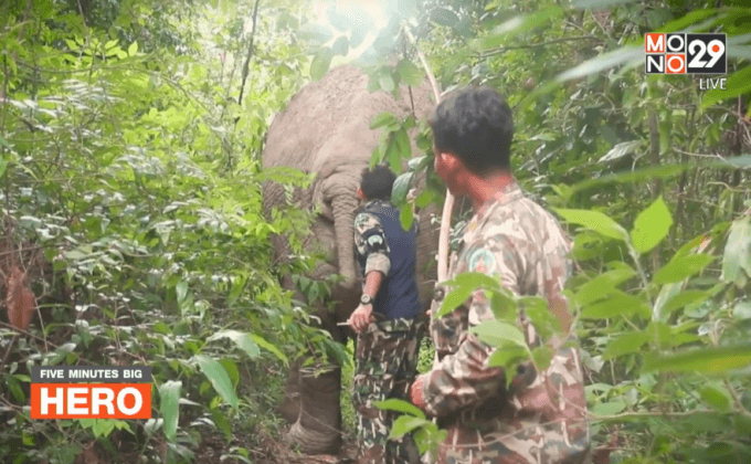 Five minutes Bighero : น.สพ.ภัทรพล มณีอ่อน HERO  ผู้พิทักษ์สัตว์ป่า ตอน 1/5