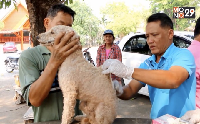 เร่งป้องกันพิษสุนัขบ้า จ.ลำปาง