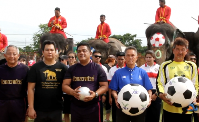 อยุธยาจัดช้างเตะบอลกับคน รณรงค์เชียร์ไร้พนัน