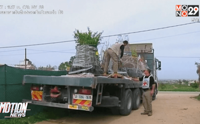 มอบต้นแอลมอนด์ให้เกษตรกรในกาซา