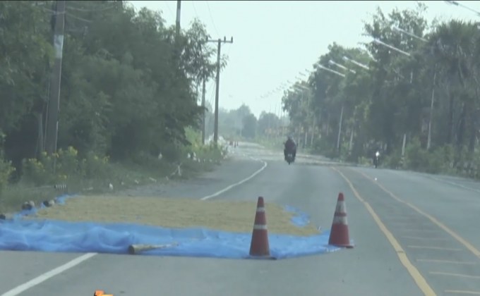 ชาวนายังตากข้าวเปลือกบนถนน แม้เกิดอุบัติเหตุ