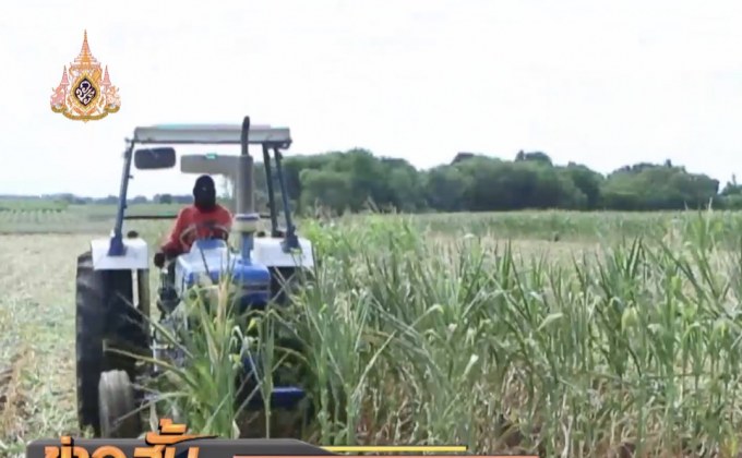 ภัยแล้งรุนแรงต่อเนื่องกระทบเกษตรกร