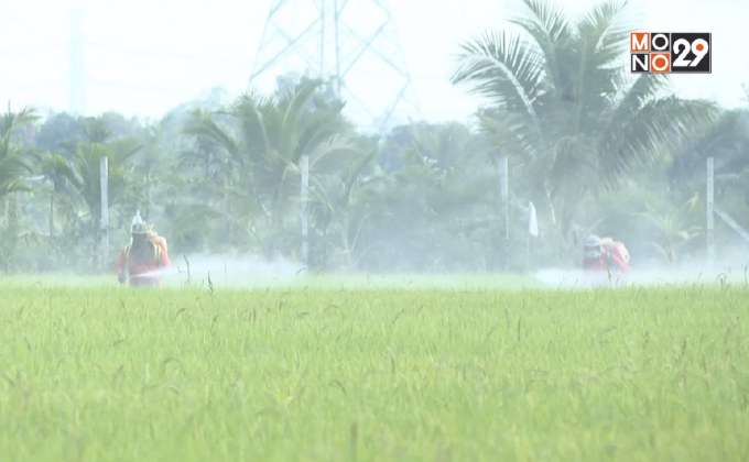 อย.ประกาศจุดยืน หนุนแบน 3 สารเคมีเกษตร