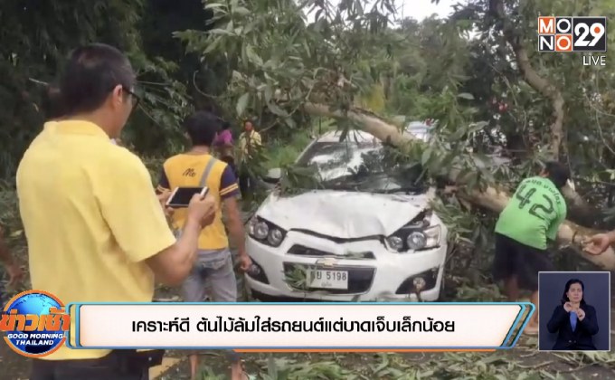 เคราะห์ดี ต้นไม้ล้มใส่รถยนต์แต่บาดเจ็บเล็กน้อย