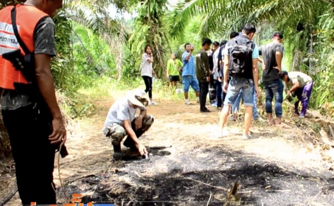 พบศพถูกเผานั่งยางในสวนปาล์ม จ.ชุมพร