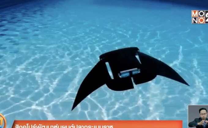 สิงคโปร์พัฒนาหุ่นยนต์ปลากระเบนราหู