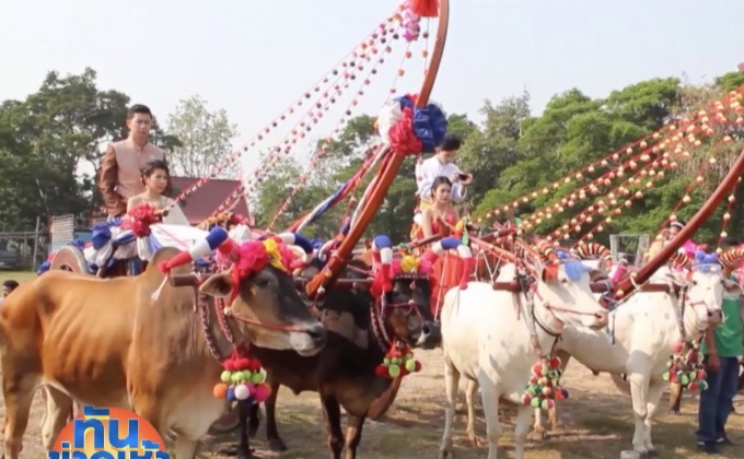 สุดเก๋ บ่าวสาว 20 คู่แต่งงานบนหลังเกวียน