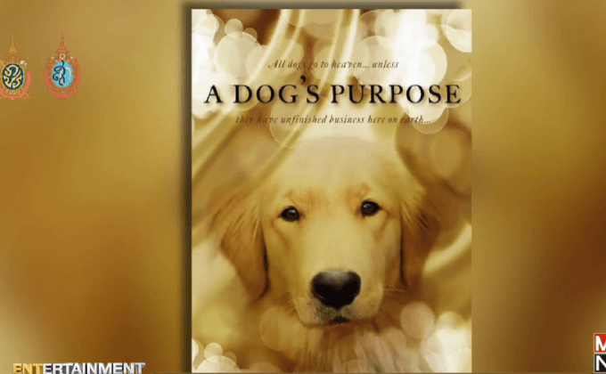 หนังใหม่รอคิวฉายที่การันตีว่าจะทำให้คุณต้องเสียน้ำตา