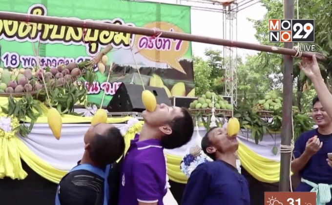 จังหวัดเลยจัดแข่งกินมะม่วงไม่ใช้มือ