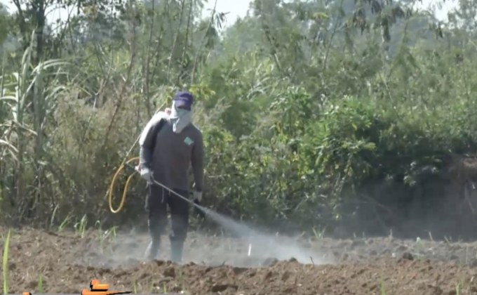 เรียกกระทรวงเกษตรฯ แจงเพิ่ม เหตุไม่แบนพาราควอต