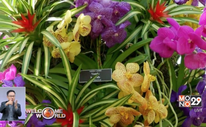 งานแสดงกล้วยไม้ในสหรัฐ