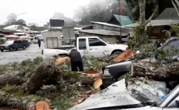 ต้นไม้ใหญ่ล้มทับรถยนต์ 3 คันที่วัดดอยสุเทพ