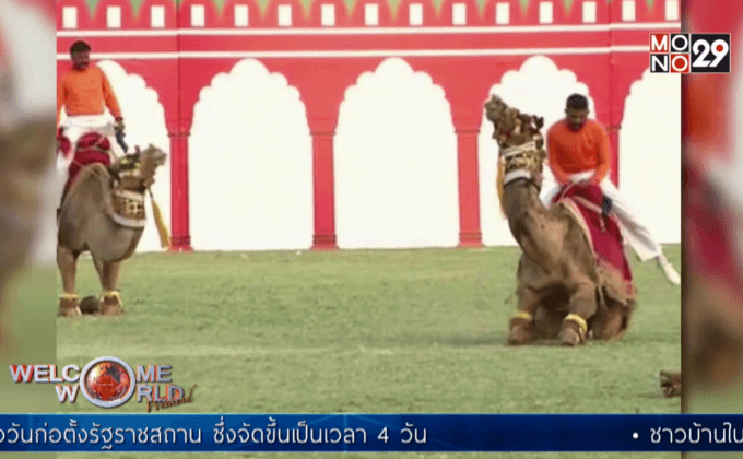 การแสดงโลดโผนร่วมกับอูฐในอินเดีย