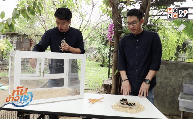 เจษฎาพาลุย:  Mini Zoo Cafe สัตว์แปลกที่คุณก็สามารถเลี้ยงได้ ตอนที่ 2