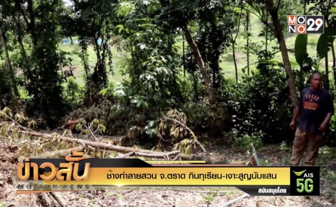 ช้างทำลายสวน จ.ตราด กินทุเรียน-เงาะสูญนับแสน