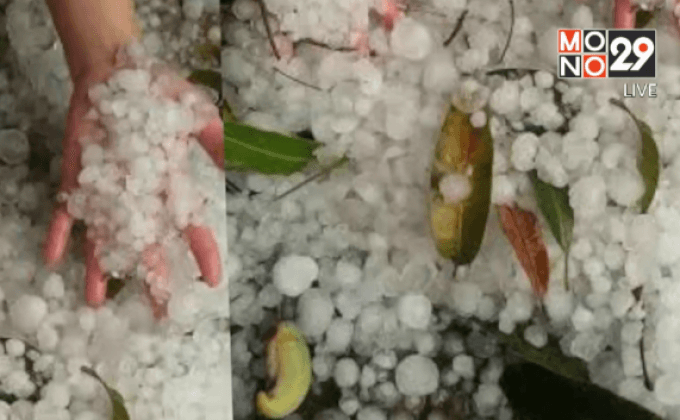 หลายจังหวัดอ่วม พายุลูกเห็บพัดถล่ม