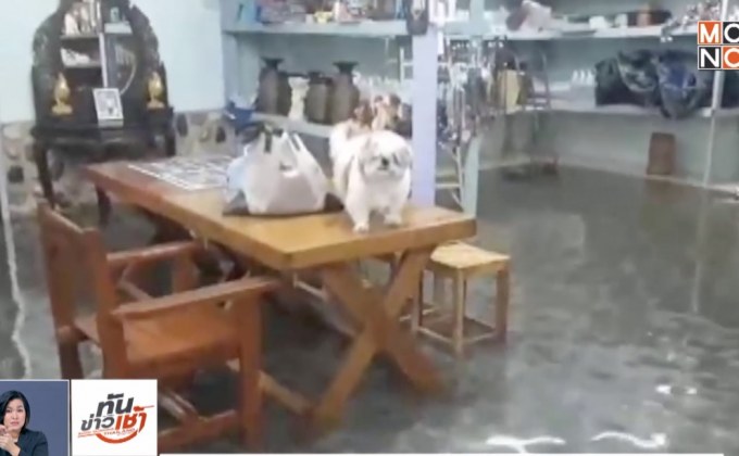 หลายพื้นที่ได้รับผลกระทบจากพายุ “เบบินคา”