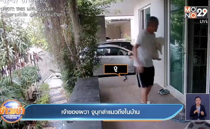 เจ้าของผวา งูบุกล่าแมวถึงในบ้าน