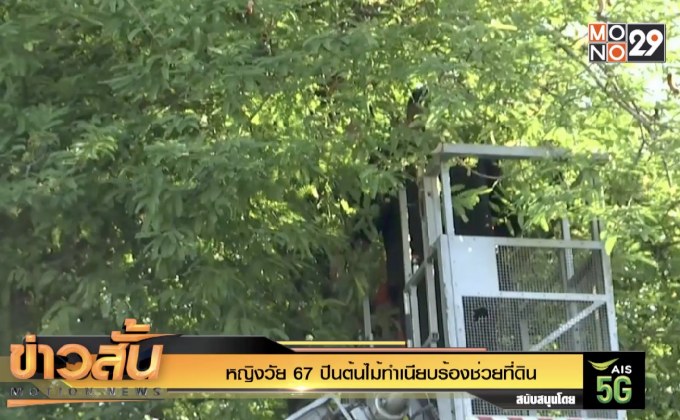 หญิงวัย 67 ปีนต้นไม้ทำเนียบร้องช่วยที่ดิน