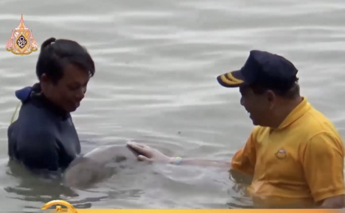 ผู้ว่าฯตรัง เจอลูกอ้อน มาเรียม พะยูนน้อย