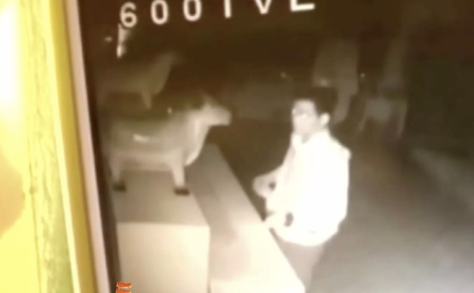 วงจรปิดจับภาพคนร้ายงัดตู้บริจาคที่ถูกดัดแปลงจากโลงศพ