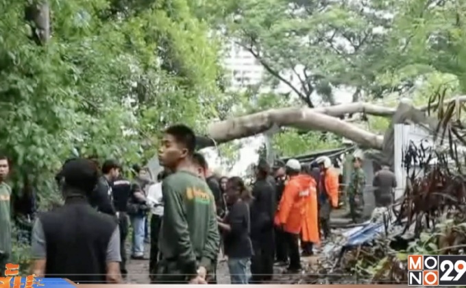 ลมแรงพัดต้นโพธิ์ทับคนงานเสียชีวิต 1 คน