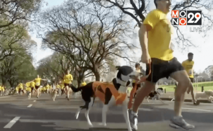 จูงน้องตูบมาวิ่งในงาน Dog Run