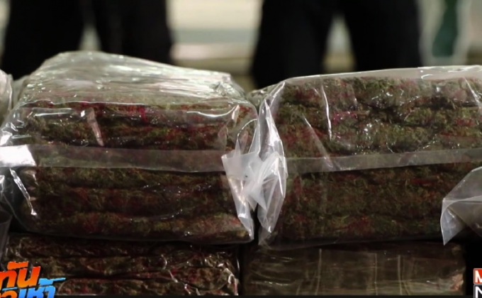 รวบเครือข่าย “ไซซะนะ” ยึดกัญชา 500 กก.