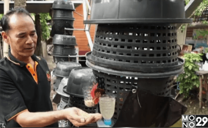 เลี้ยงไก่ตะกร้าบนชิงช้าสวรรค์ หนึ่งเดียวในไทย