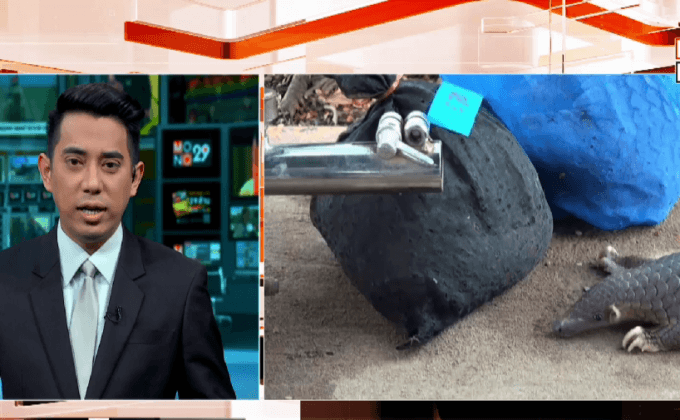 ยึดตัวนิ่มขณะลักลอบผ่านลำน้ำโขง