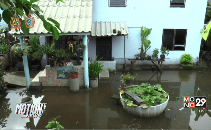 ฝนตกหนักทำชุมชนบางกะดีน้ำท่วมขังปลิงอาละวาด