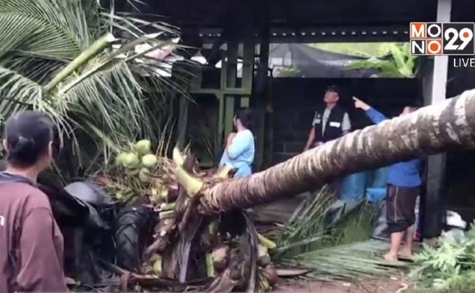 พายุฤดูร้อนพัดถล่มหลายจังหวัดภาคอีสาน