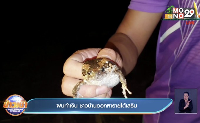 ฝนทำเงิน ชาวบ้านออกหารายได้เสริม