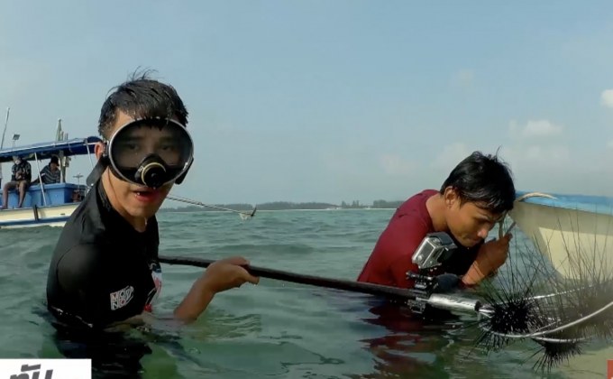 เจษฎาพาลุย : เก็บ “ไข่หอยเม่น” เมนูสุดอันตราย จ.ชุมพร