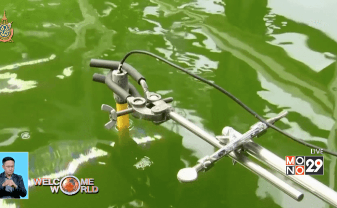 เปลี่ยน “สาหร่าย” ให้เป็นเชื้อเพลิงเครื่องบิน