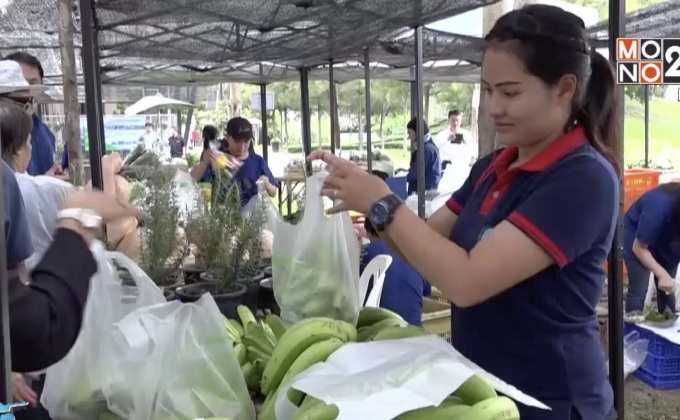 ชาวเขาขนผักปลอดสารพิษ ขายตลาดนัดชาวดอย