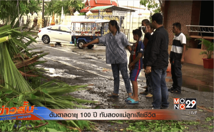 ต้นตาลอายุ 100 ปี ทับสองแม่ลูกเสียชีวิต
