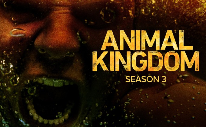 Animal kingdom S3 แอนิมอล คิงดอม ปี 3