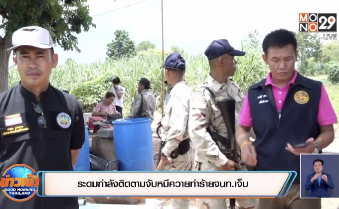 ระดมกำลังติดตามจับหมีควายทำร้ายจนท.เจ็บ