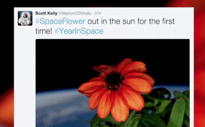 ต้นไม้ต้นแรกที่โตนอกโลก