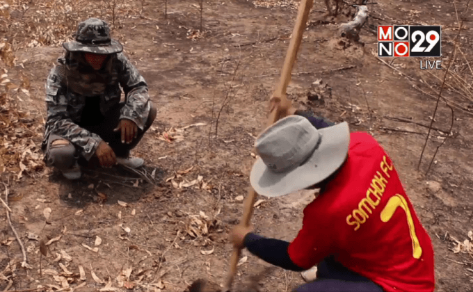 ขอนแก่น-จับแย้ขายสร้างรายได้ช่วงหน้าแล้ง