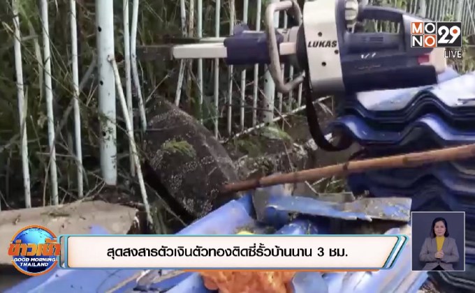 สุดสงสารตัวเงินตัวทองติดซี่รั้วบ้านนาน 3 ชม.