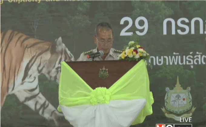 เสือโคร่งในป่าเพิ่มขึ้น 2 เท่ารอบ 12 ปี